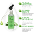 Dr. Rashel Aloe Vera Collagen+Vitamin E Face Serum Perfecting Primer Online now