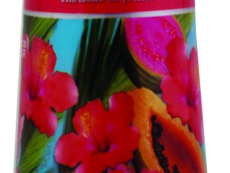 AIR WICK SOLID - HIBISCUS & ISLAND FRUITS 6 OZ - 12CT CASE For Cheap