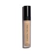 Conseal The Deal Lightweight, Long-Wear Everyday Concealer with Caffeine Online