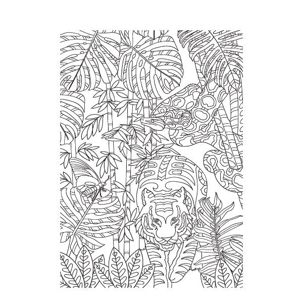 A4 Life In The Jungle Advanced Colouring Book - 22 Pages Wildlife High Quality Relaxing Art Therapy Hot on Sale