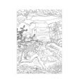 A4 Life In The Jungle Advanced Colouring Book - 22 Pages Wildlife High Quality Relaxing Art Therapy Hot on Sale