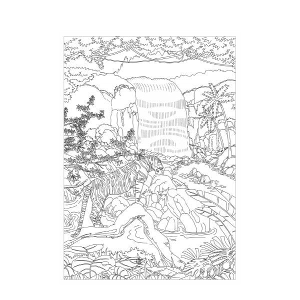 A4 Life In The Jungle Advanced Colouring Book - 22 Pages Wildlife High Quality Relaxing Art Therapy Hot on Sale