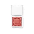 ReDimension Hydra Powder Blush Online