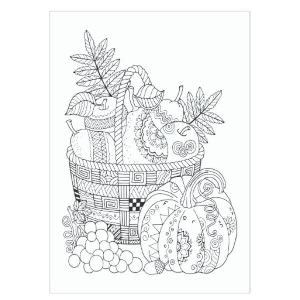 A4 Advanced Colouring Book - Assorted Detailed Designs Intricate Patterns High Quality Paper Relaxing Art Therapy Online now