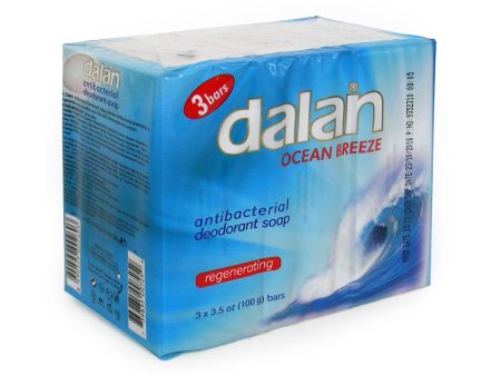 DALAN SOAP - OCEAN BREEZE 31 OZ - 24CT 3PK CASE Online