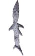 SKINNEEEZ - Extreme 3 Squeaker Stuffing Free Dog Toy Shark Grey - 25 Inch Cheap