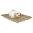 PETERS - Woven Grass Mat for Small Animal - 16 L x 11.5 W Discount