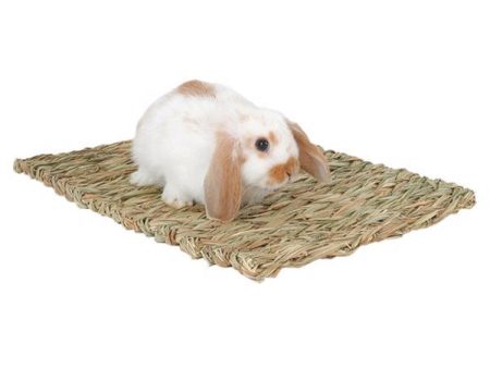 PETERS - Woven Grass Mat for Small Animal - 16 L x 11.5 W Discount