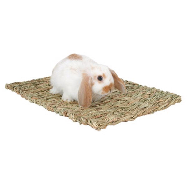 PETERS - Woven Grass Mat for Small Animal - 16 L x 11.5 W Discount